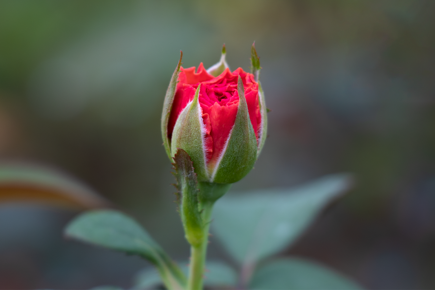 AutoCAD 2014 shortcut